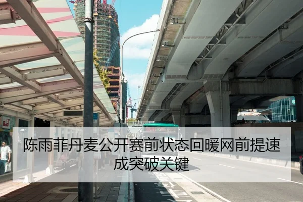 陈雨菲丹麦公开赛前状态回暖网前提速成突破关键